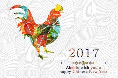Chinese New Year holiday Notice