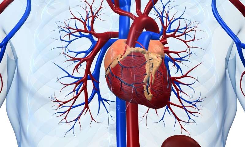 Left ventricular assist device ups QoL in ambulatory heart failure