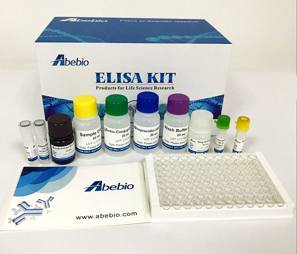 How to Analyze ELISA Data with GraphPad Prism