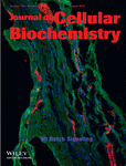 Roles of TREM2 in degeneration of human nucleus pulposus cells via NF‐κB p65