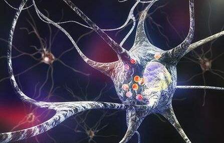 ‘Reprogrammed’ stem cells implanted into patient with Parkinson’s disease