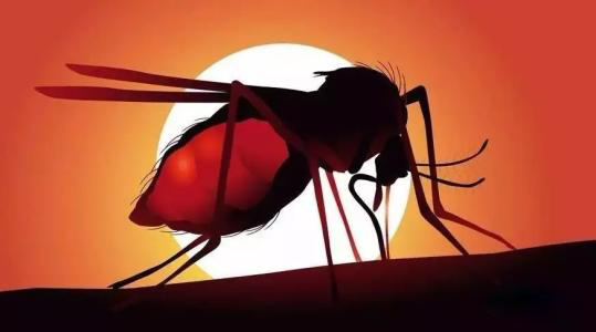 Can I get infected with HIV from mosquitoes?