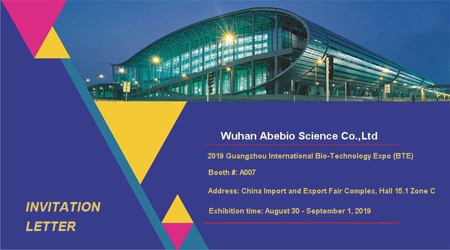 Abebio Will Attend 2019 Guangzhou International Bio-Technology Expo (BTE)