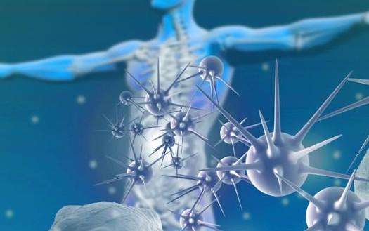 Improving research with more effective antibodies