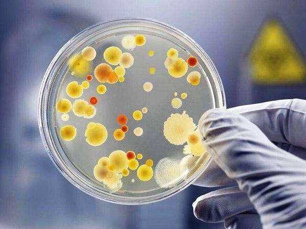 Understanding how Fc-modification transforms a pathogenic HIT-like monoclonal antibody into a novel treatment for sepsis