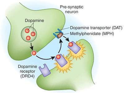 Marijuana use may reduce dopamine in the brain