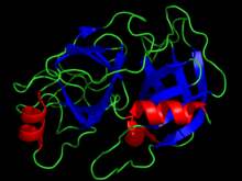 Protease Activity in Single-Chain Prekallikrein