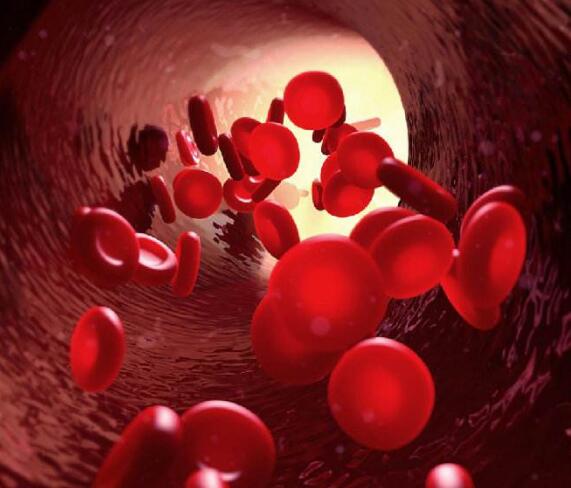 Poly (I:C) causes failure of immunoprophylaxis to red blood cells expressing the KEL glycoprotein in mice