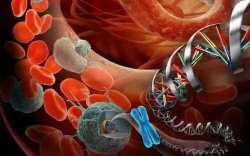 Plasma levels of growth differentiation factor 15 are associated with future risk of venous thromboembolism