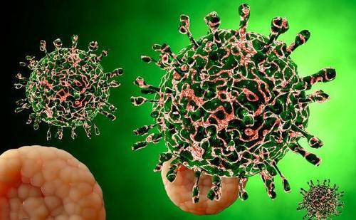 Which antibodies are most effective against coronavirus?
