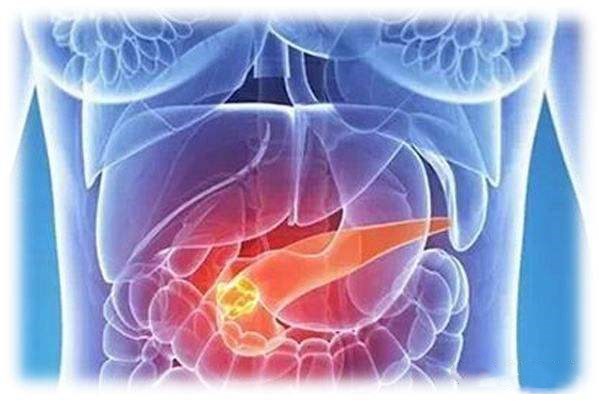 IL-20 antagonist suppresses PD-L1 expression and prolongs survival in pancreatic cancer models