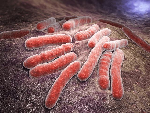 Scientists discover a surprising new way that tuberculosis suppresses immunity