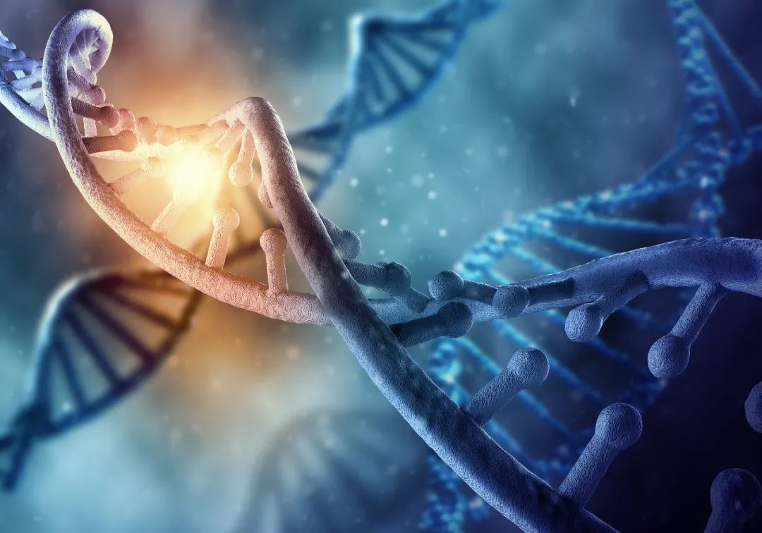 Genome-wide synthetic lethal screen unveils novel CAIX-NFS1/xCT axis as a targetable vulnerability in hypoxic solid tumors