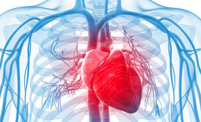 Biomarkers of dairy fat intake, incident cardiovascular disease, and all-cause mortality A cohort study, systematic review, and meta-analysis