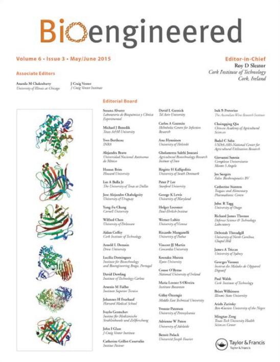 Myosin light chain 9 promotes the proliferation, invasion, migration and angiogenesis of colorectal cancer cells by binding to Yes-associated protein 1 and regulating Hippo signaling