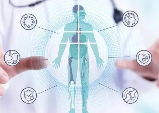 Calorie restriction rewires metabolism, immunity for longer health span