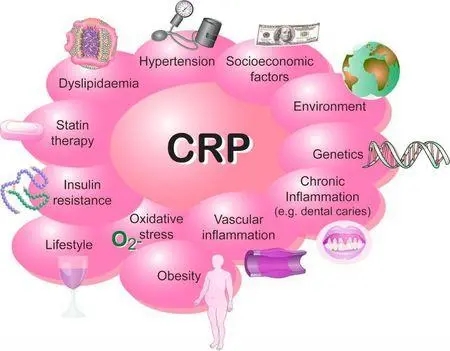 What can C-reactive protein reflect