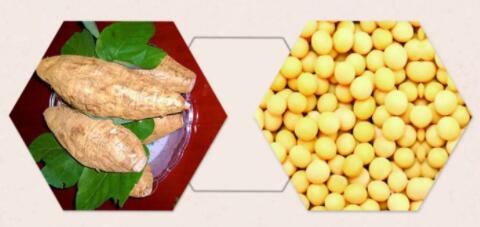 New anticancer substances found in soybean extract and pueraria lobata