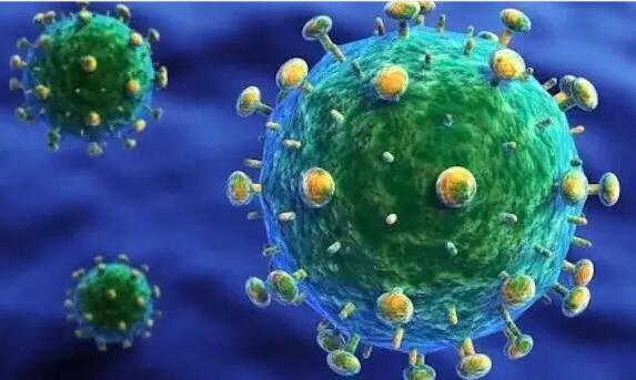 A clade C HIV-1 vaccine protects against heterologous SHIV infection by modulating IgG glycosylation and T helper response in macaques