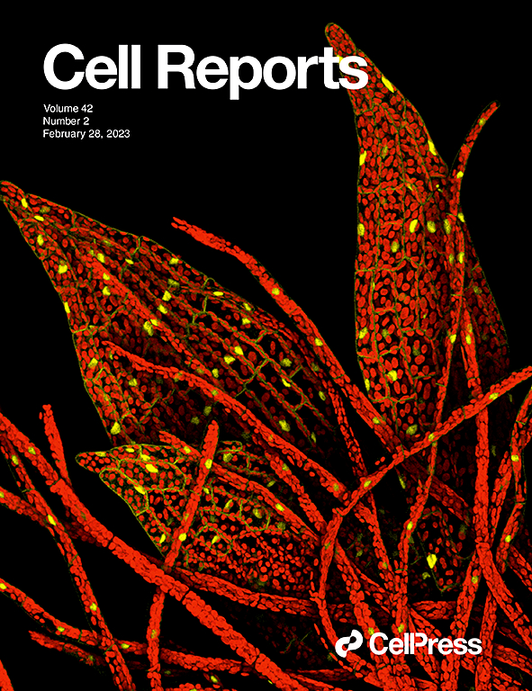 Transcriptomic atlas and interaction networks of brain cells in mouse CNS demyelination and remyelination