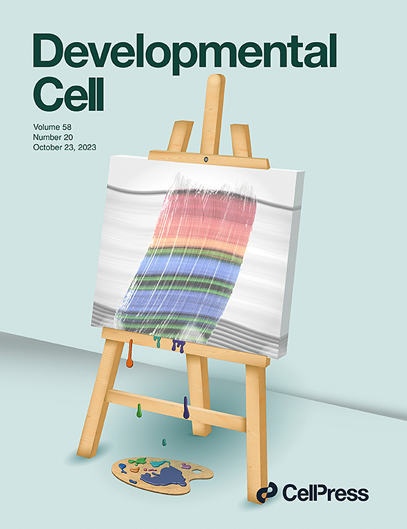 BACH1 changes microglial metabolism and affects astrogenesis during mouse brain development