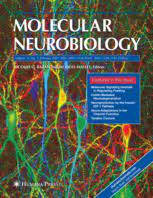 Transcriptomics and Metabolomics Unveil the Neuroprotection Mechanism of AnGong NiuHuang (AGNH) Pill Against Ischaemic Stroke Injury