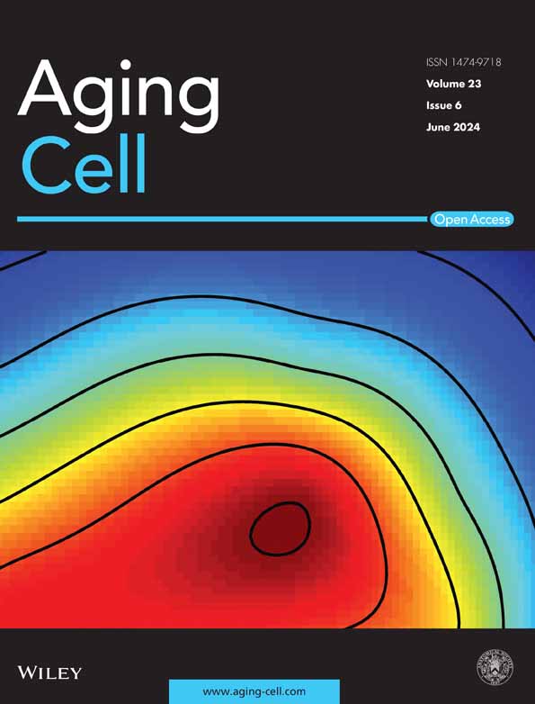 Myeloid ectopic viral integration site 2 accelerates the progression of Alzheimer&acutes disease
