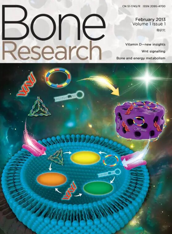 Neonatal bone marrow interstitial fluid supports expansion and osteogenic ability of human bone marrow mesenchymal stromal cells